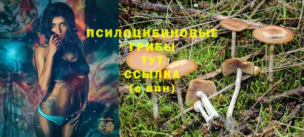прущие крисы Армянск