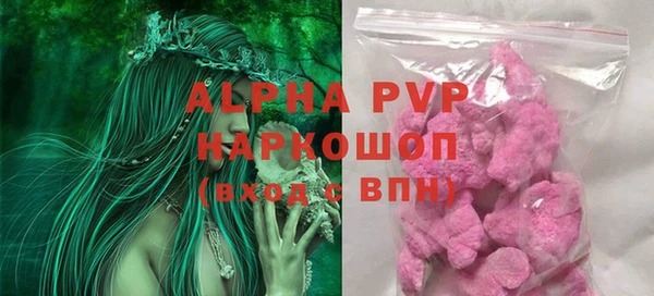 прущие грибы Балахна