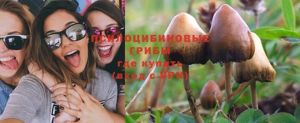 прущие грибы Балахна