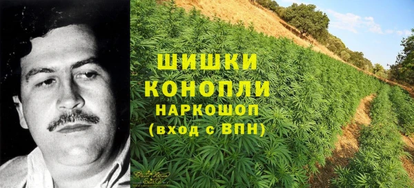 ECSTASY Аркадак