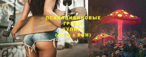 прущие крисы Армянск