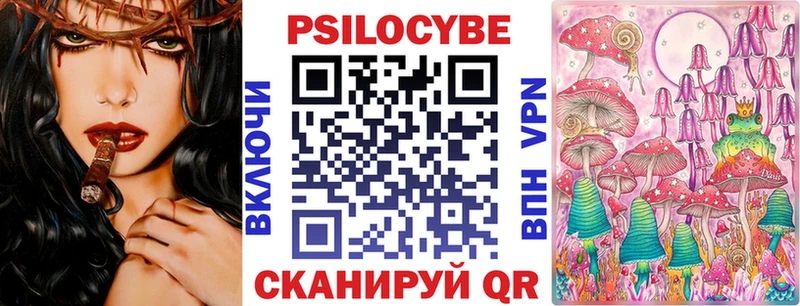 Псилоцибиновые грибы Psilocybe  где купить наркоту  Белая Холуница 